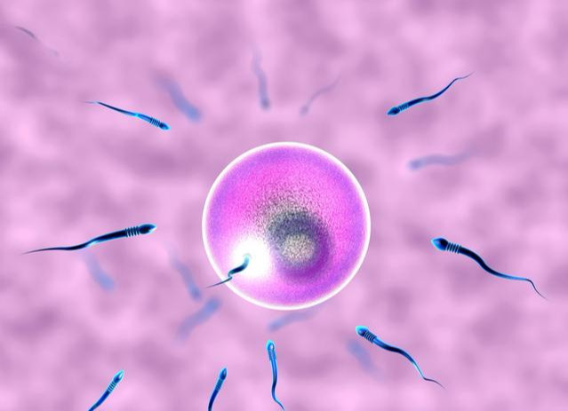 孕产说 怀孕从来没有着床出血的现象正常吗