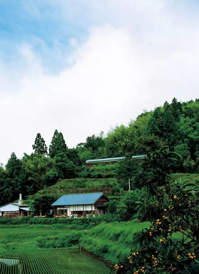 六旬夫妻归隐田园与泥土为伴引无数人神往