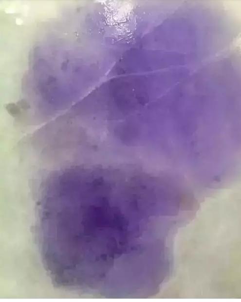 翡翠界的大块头 过百斤的 斑点狗 没出手镯不贬值