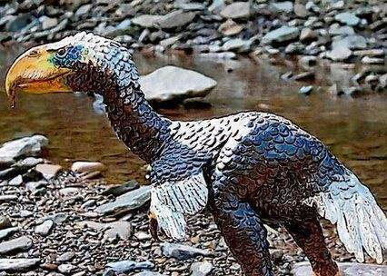 的名字里面有鸟,它却不会飞,全身上下最有特点的就是那个像鹰嘴一样的