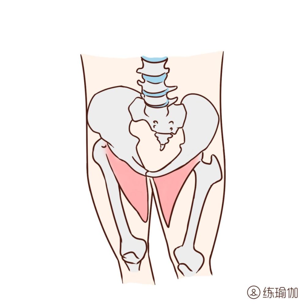 腹股溝是婦科疾病的源頭,萬萬不可堵