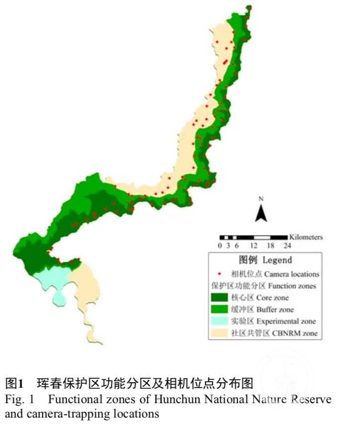 全球老虎日我國現存27只野生東北虎獵套成致命陷阱