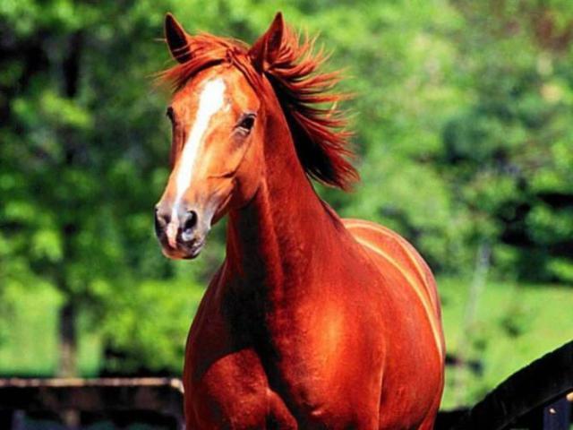 腾讯内容开放平台