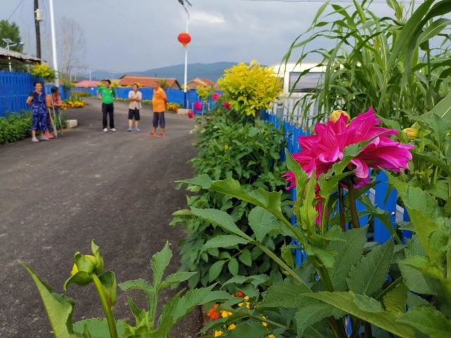 保护绿水青山 打造最美故乡——汪清县罗子沟镇美丽乡村建设纪实