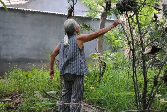 这两位摘花椒的老奶奶:她们朴实,单纯,勤劳,是乡村独有的风景