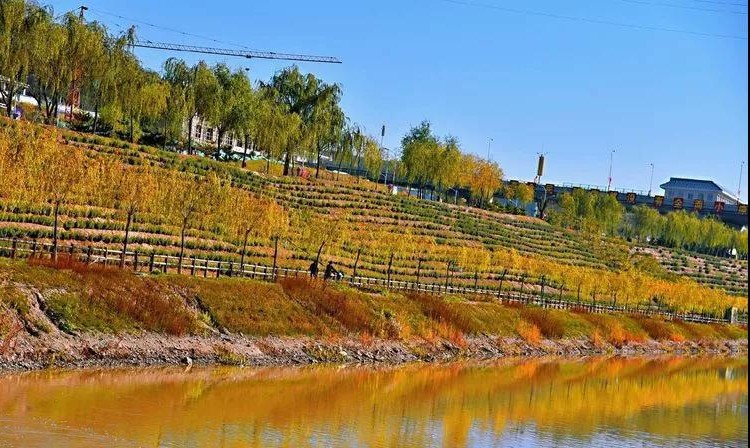 茹河:彭阳人的母亲河,承载了多少人的回忆与青春