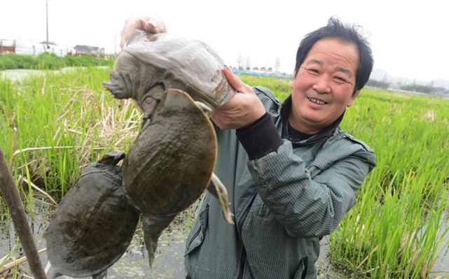 4大禁菜你瞭解幾個?做法一個比一個殘忍,福建