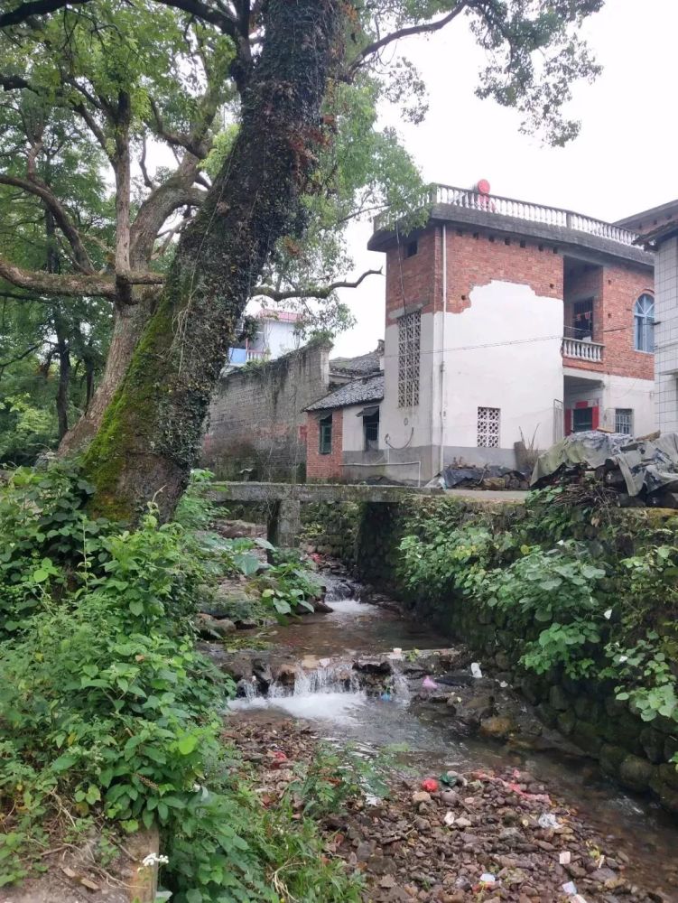 青龙山故事2 蒋朝清自卫队打死日军大佐 青龙山遭到疯狂报复