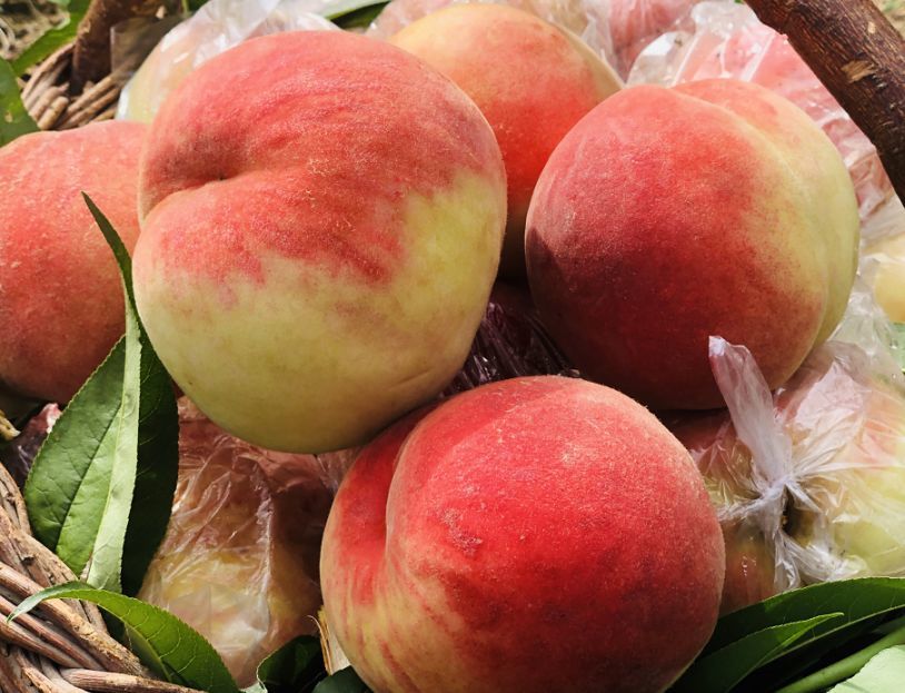 "桃界新宠"5斤仅需19.9元!饱满红润,脆甜多汁,撩爆你的味蕾!