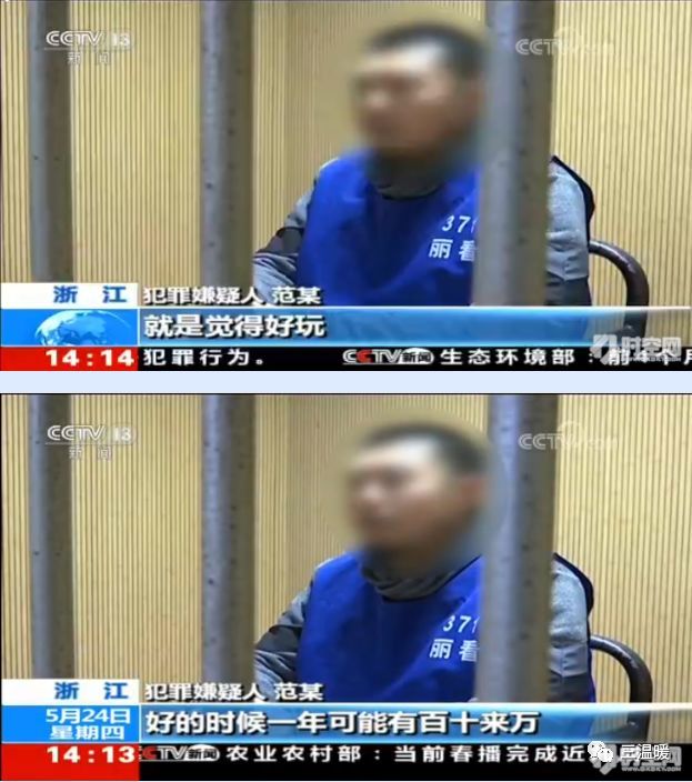 91网站的康先生终于落网了，91网站凭什么存活这么长时间?年薪百万为何要去卖视频牟利呢?