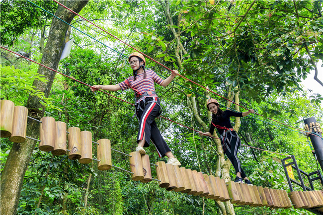 佛山这个森林王国的运动拓展项目一点也不亚于