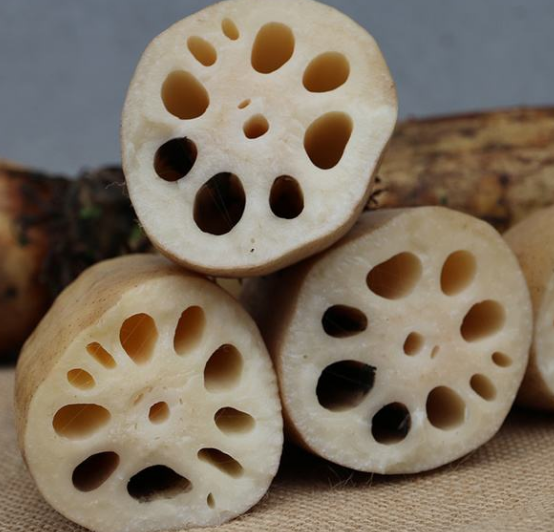 "七孔"莲藕和"九孔"莲藕有区别,很多人不懂,难怪做菜不好吃