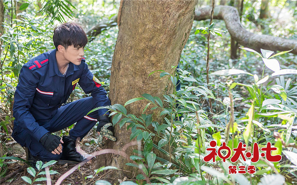 《神犬小七3》人宠联盟救助边父 边慕安心"彩排求婚"甜蜜升级