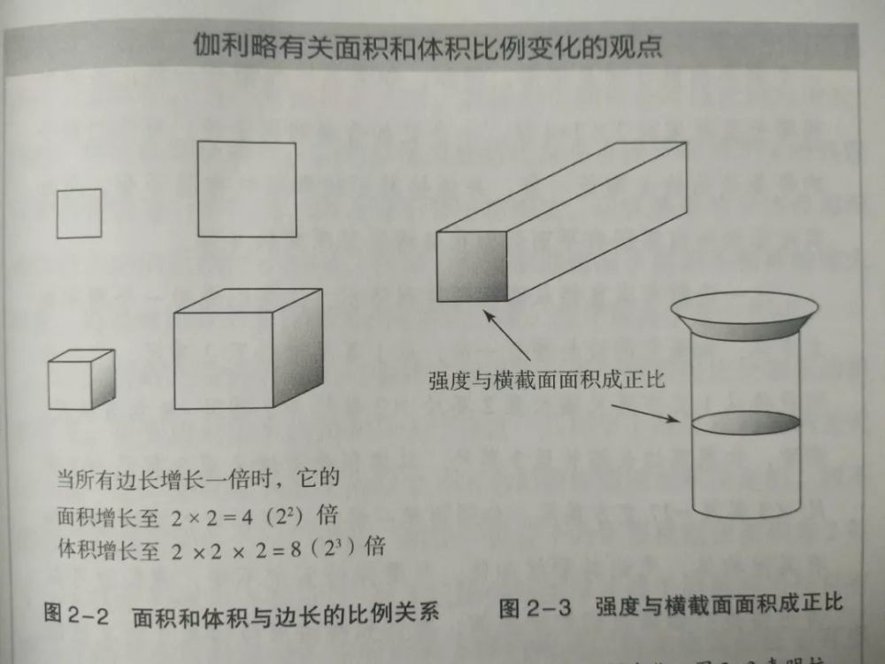 佐明读书会 规模 之规模法则和分形理论