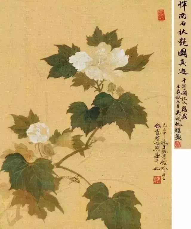 没骨|中国画的三大技法体系之没骨法