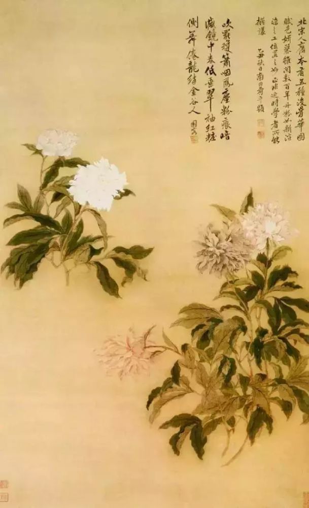 没骨|中国画的三大技法体系之没骨法