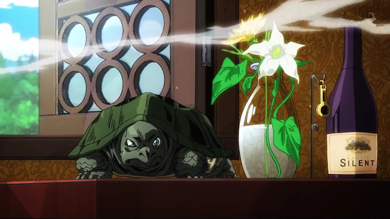 黄金之风波波龟的寿命有多久结局休妹差点吓死个人