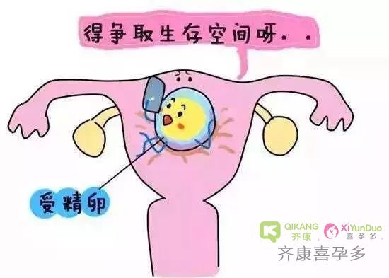 危害女性生育的顽固杀手宫腔粘连,可以做试管吗?
