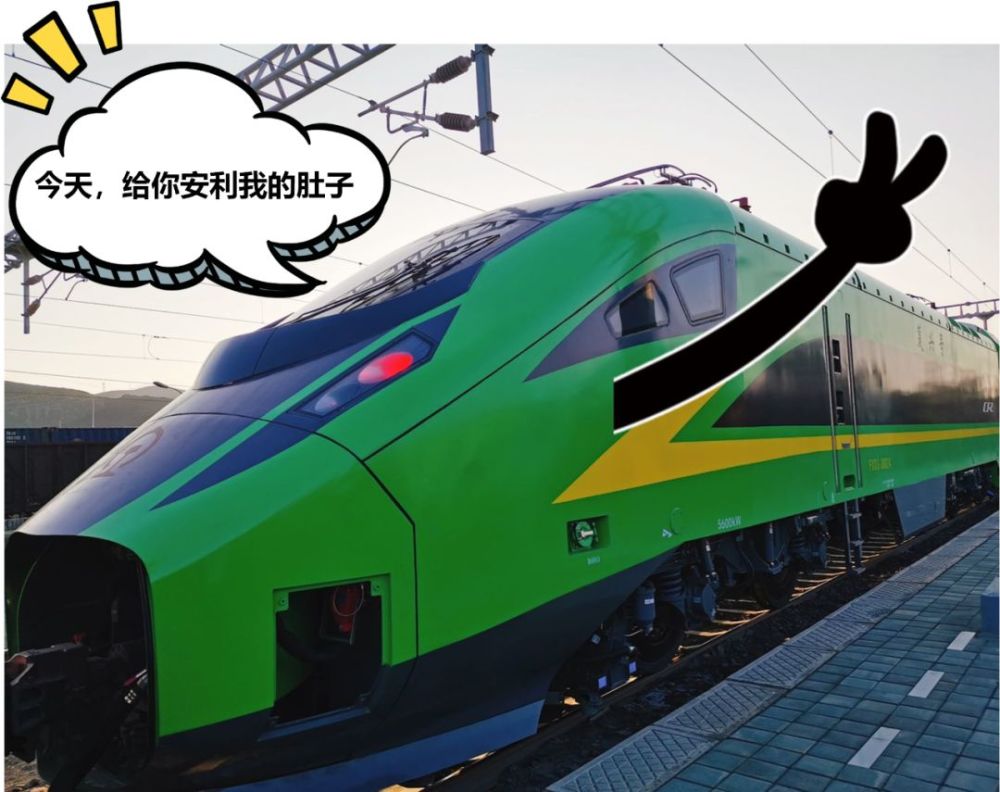 最新型动车绿巨人将开进丽水遂昌松阳龙泉庆元人有福了