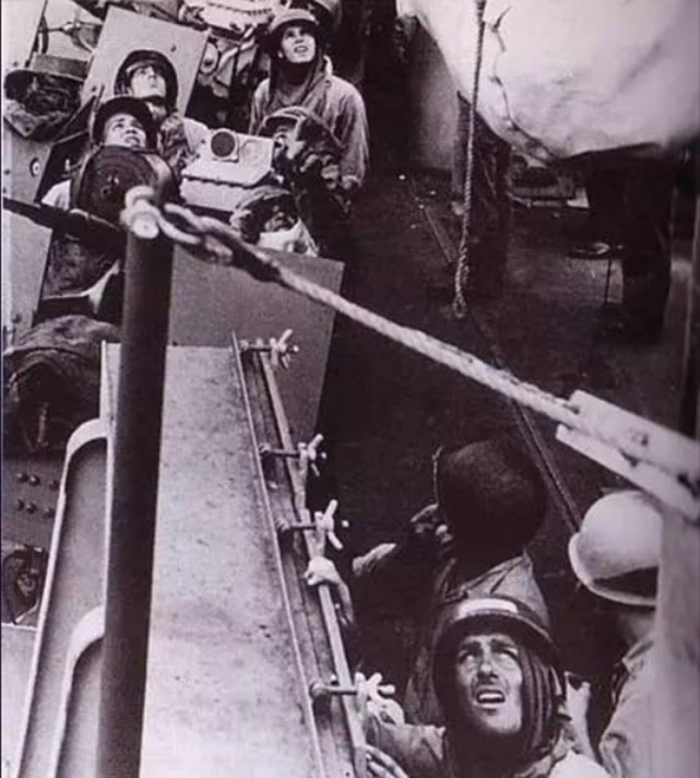 神风敢死队都是自愿的队长关行男哀叹日本现在连我们都杀了