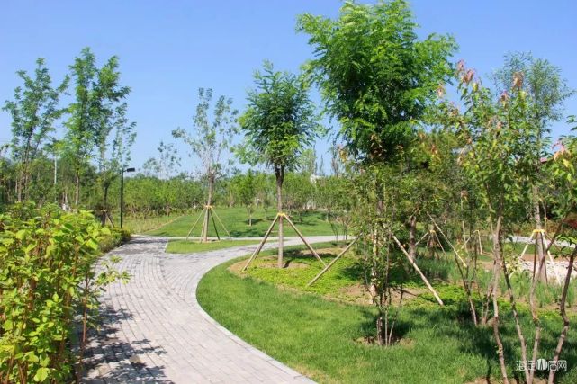 海淀集中开放6处公园和风景林地!五一假期可以走起啦!