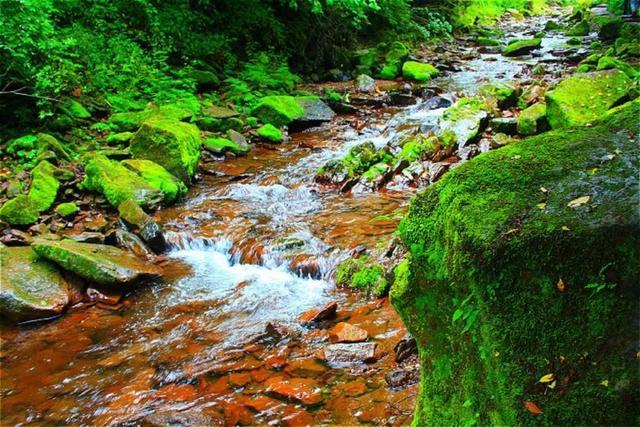 凉殿峡是条长达10公里的峡谷,自古就是避暑胜地,这里三面环山,谷底有