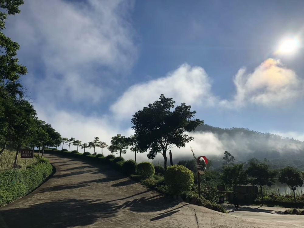 来海南空气非常好的地方看星星看月亮,星空露