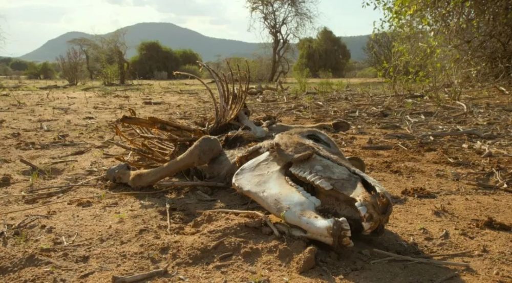 使原本缤纷的地球变得污浊而充满危险;森林的减少,使大量动物失去家园