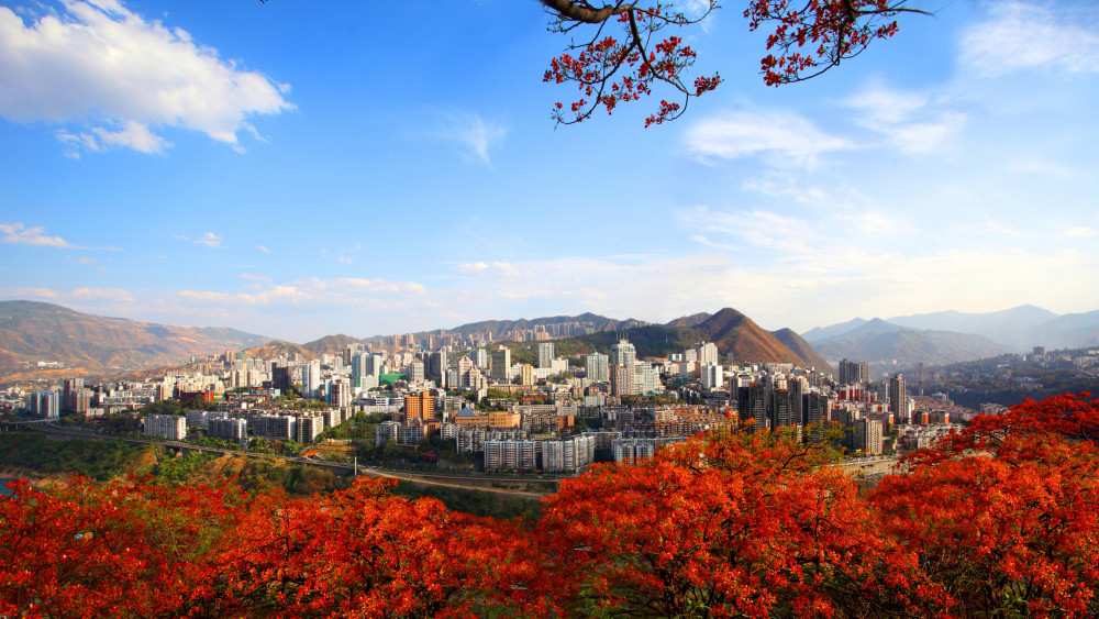 全国唯一以花命名的城市,四川攀枝花