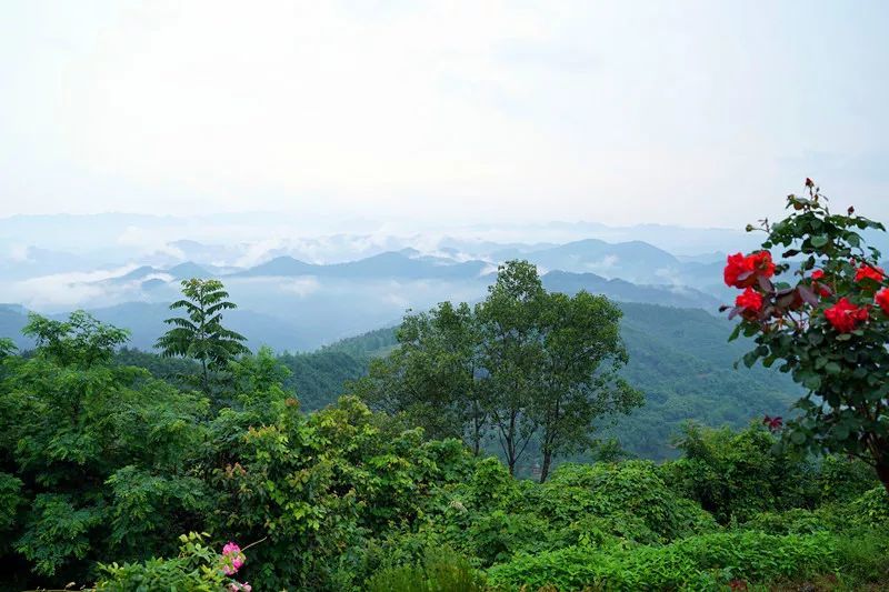 秦巴山水间藏着一座花屋 雕梁画栋令人称绝