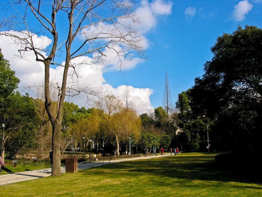 生活節奏那麼快,想和你踏遍上海這些公園,走一走,吹吹風