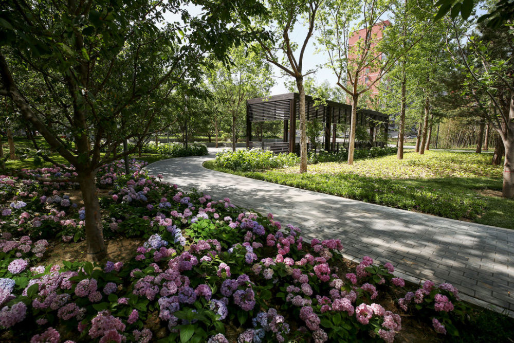 香河园口袋公园 | 城中森林,园中博物馆