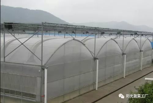 温室大棚种类及特点 很实用值得收藏
