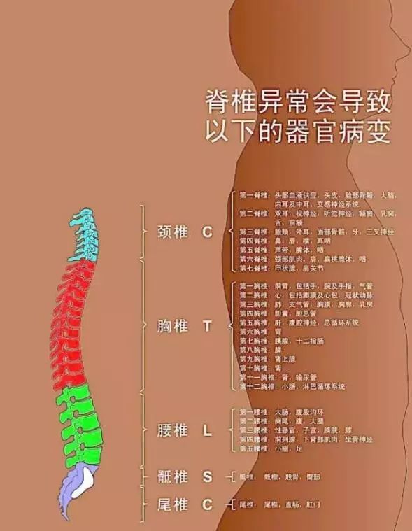 关中医艾灸把人体督脉上最容易瘀阻的地方分为:脊椎不好引发的疾病腰