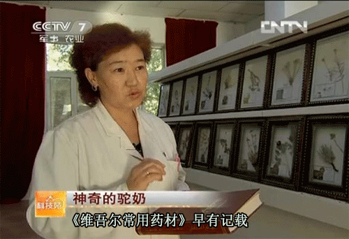 神奇驼奶,一杯激活免疫力!