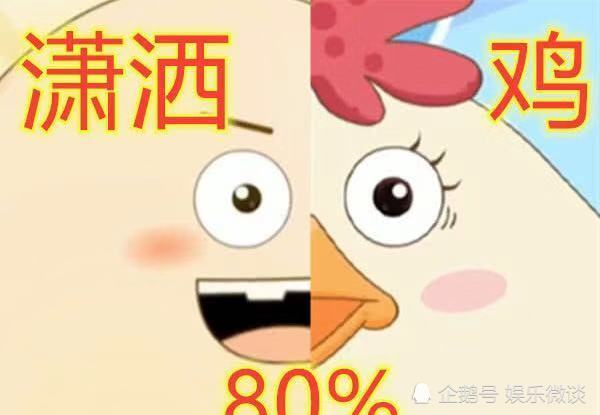 再来要说的就是这个潇洒哥和这个鸡妈妈,他们两个一个是鸡,一个是蛋要