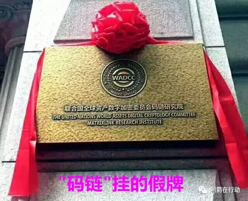 中金银海到底现在是什么情况_中金银海上市了吗_警惕！这几十个互联网项目都是传销骗局！