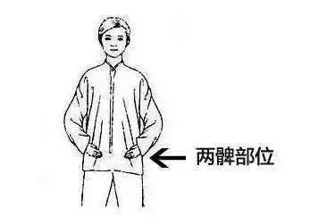 养生文化拍打两髀化水湿健脾胃