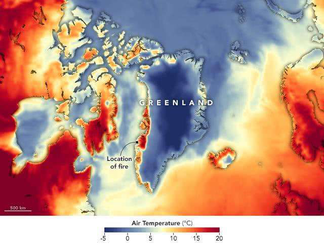西方神话传说独角兽竟然真的存在!