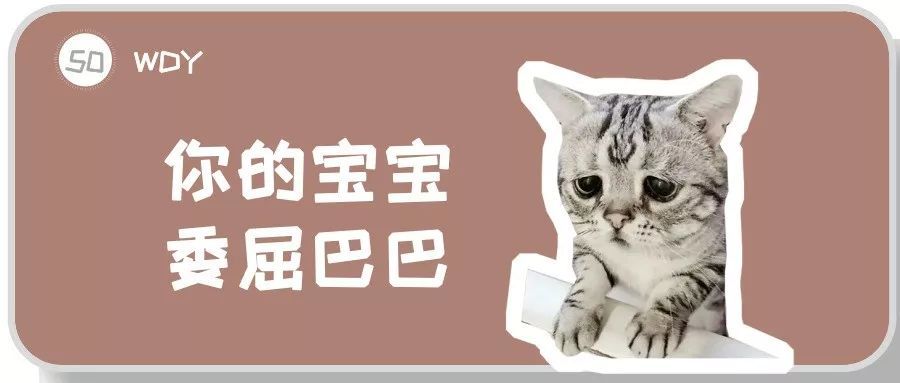 危及猫咪生命的尿道疾病，大概率是人为，该如何避免悲剧发生？