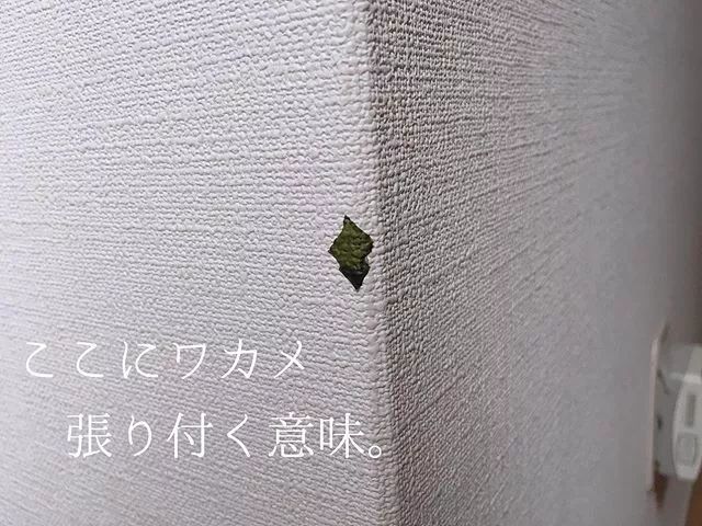 主妇|一个日本主妇上传了老公扔的垃圾后，居然吸引了30万粉丝围观……