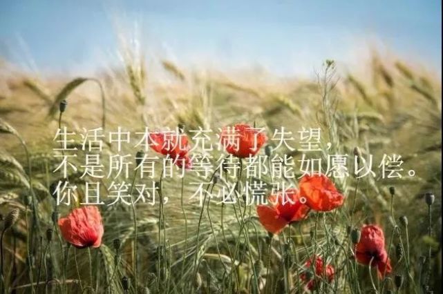 很潮很流行的唯美心情说说短句,深入人心的人生哲理感悟语录