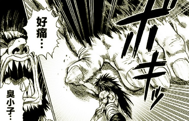 在水龙短暂的结尾我们看到了水龙被琦玉救下,明白了英雄的含义,改变了