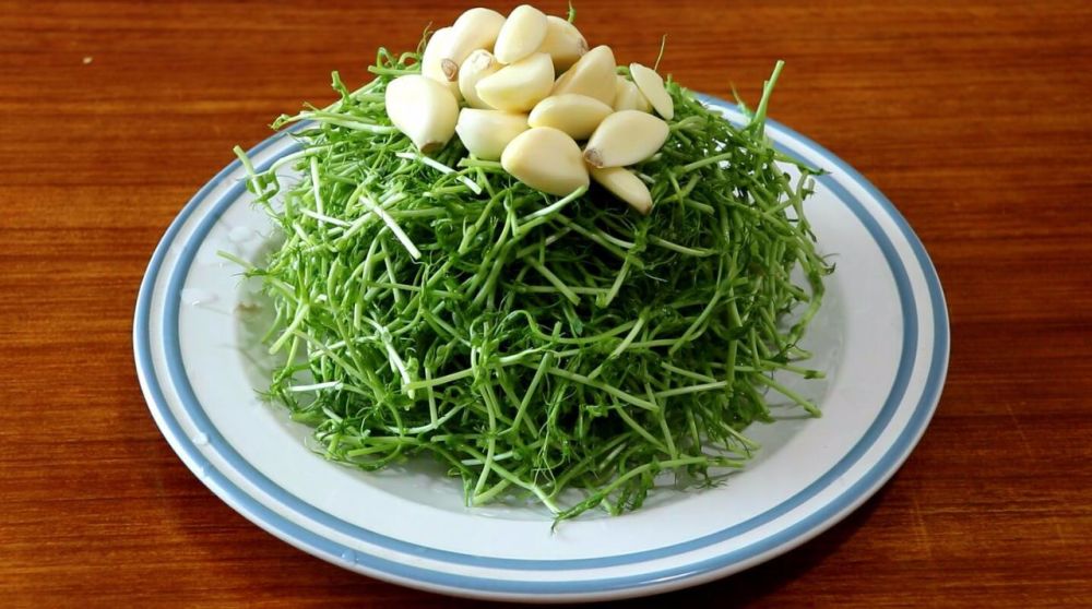 5元买了一把豌豆苗 教你简单快手的做法 比炒着好吃 脆嫩爽口