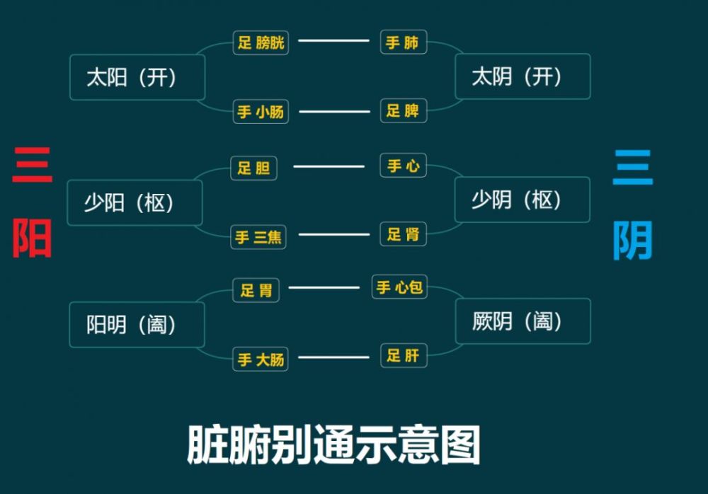 脏腑别通说