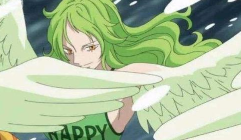 最悲惨的五大自然系恶魔果实使用者看到最后一个网友都心疼