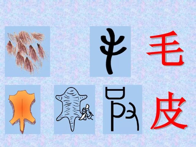 常見的80個象形字讓孩子輕鬆愛上書法