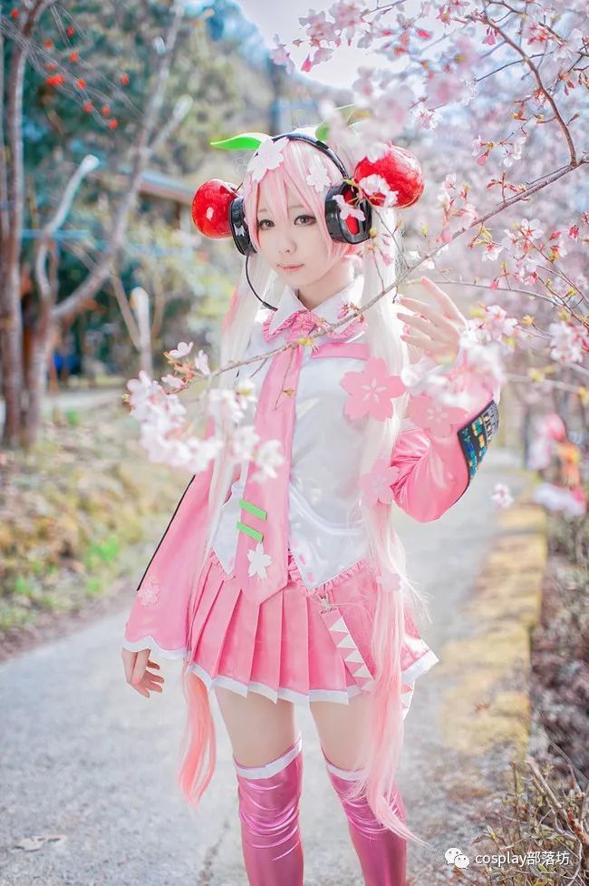 cos:樱花初音,春天快过了啊