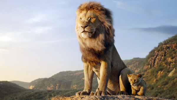 狮子王百兽之王是怎样炼成的