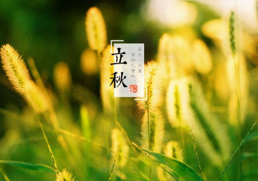 立秋将至 立秋不落雨 24只秋老虎 啥意思 立秋下雨好吗